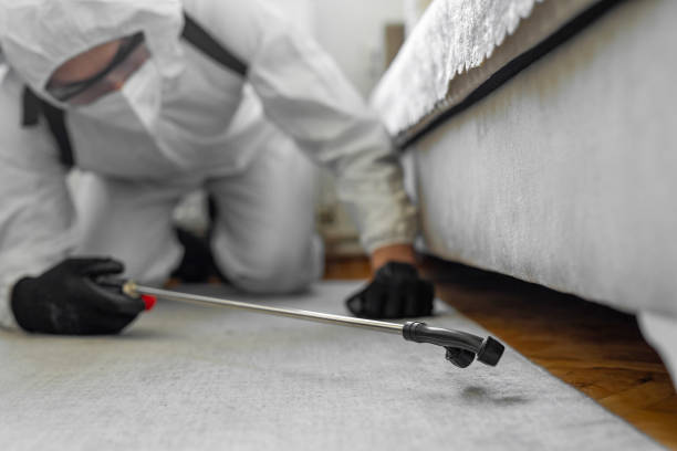 Professional Bed Bug Control technician working in Muscatine, IA