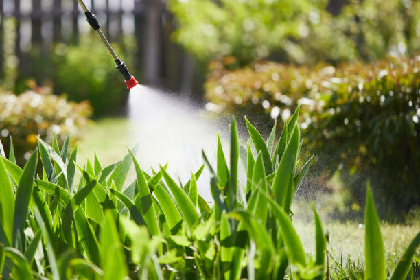 24/7 Emergency Bed Bug Control experts in Muscatine, IA