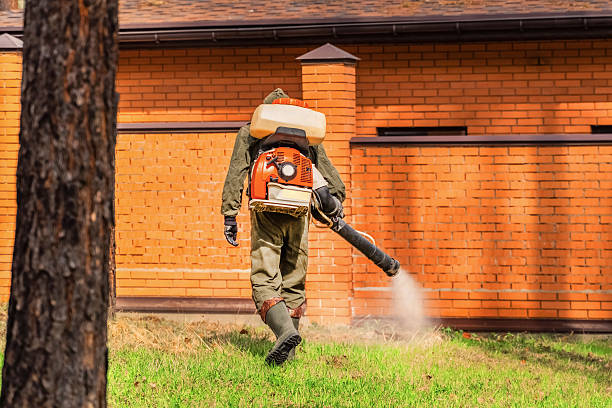 Trusted Mosquito Control service in Muscatine, IA - Nex Pest Control